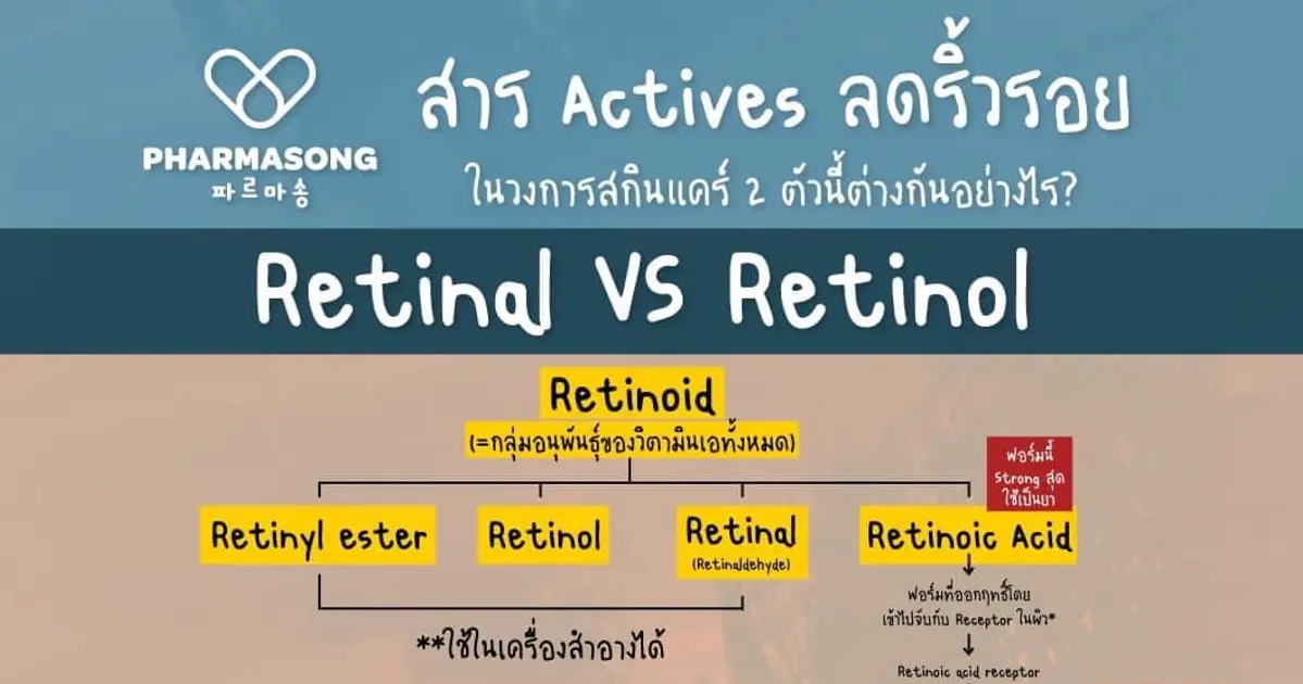 Retinal VS Retinol: สารสำคัญในการลดริ้วรอย เลือกตัวไหนเหมาะกับผิวของคุณ?
