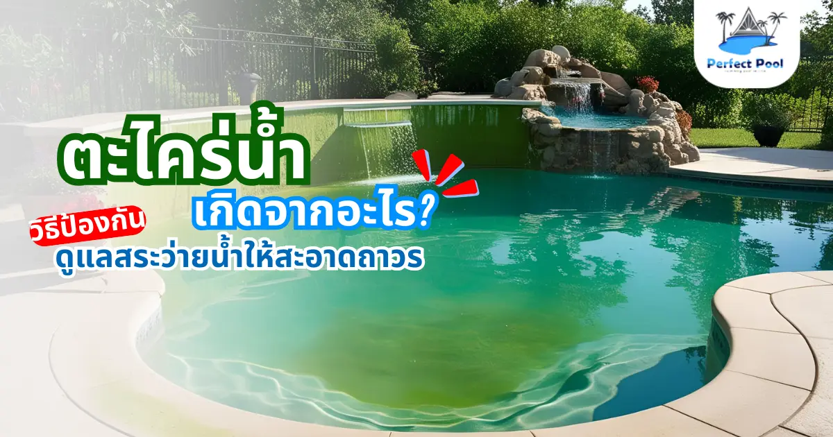  สระว่ายน้ำขึ้นตะไคร่บ่อย เกิดจากอะไร? วิธีป้องกันและดูแลสระว่ายน้ำให้สะอาดถาวร