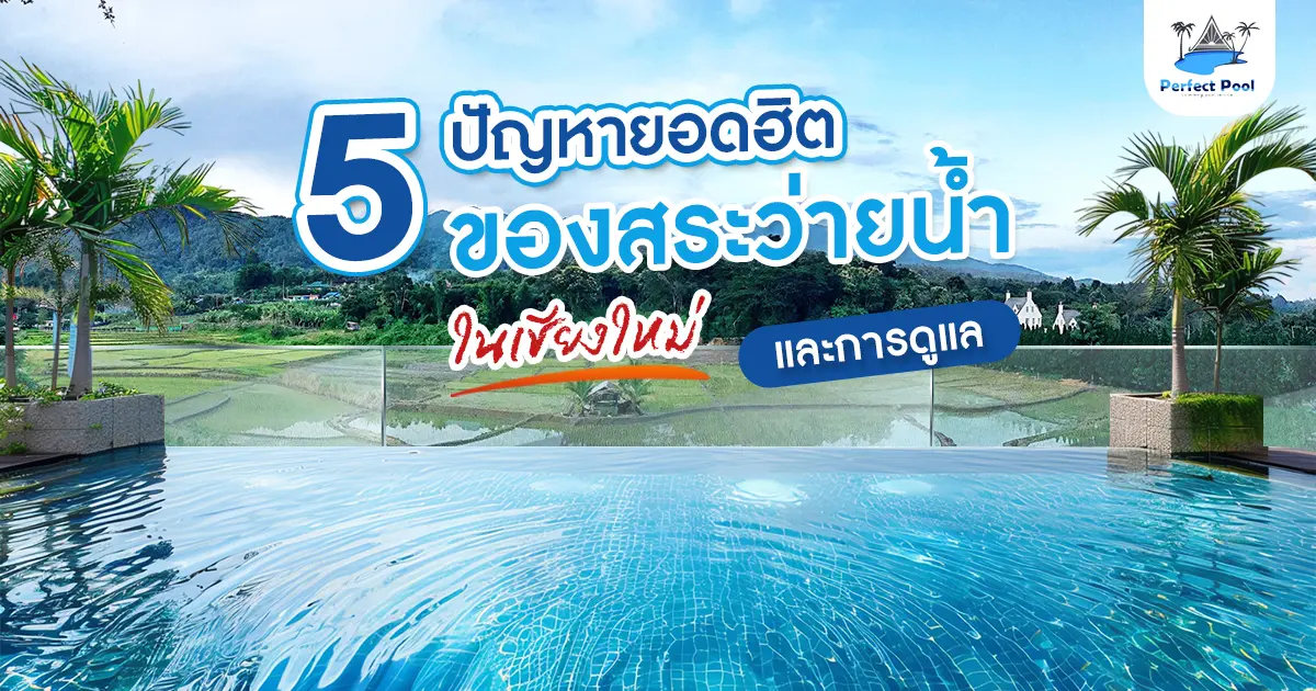 5 ปัญหายอดฮิตของสระว่ายน้ำในเชียงใหม่ และการดูแล