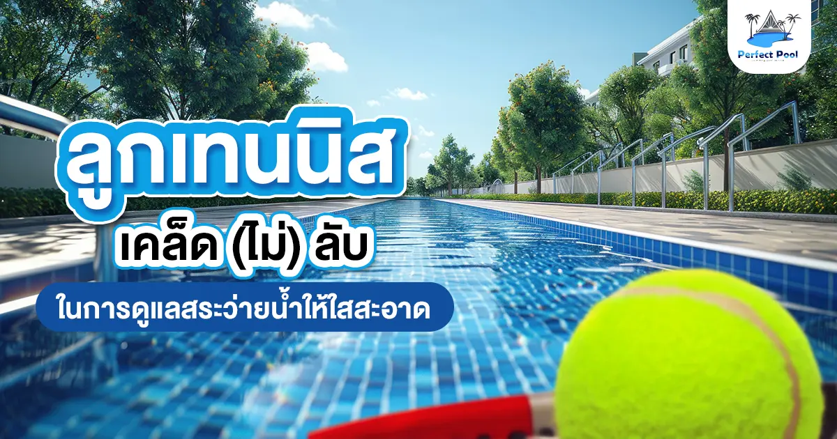 ลูกเทนนิสเคล็ด(ไม่)ลับในการดูแลสระว่ายน้ำให้ใสสะอาด