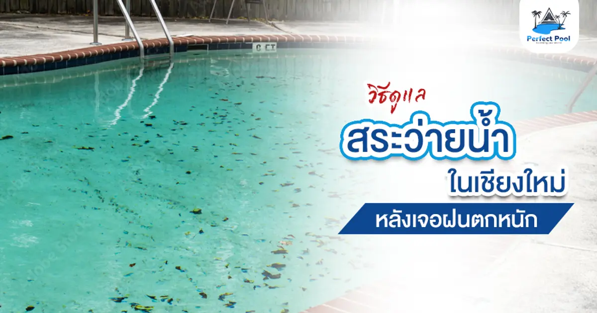 วิธีดูแลสระว่ายน้ำในเชียงใหม่ หลังเจอฝนตกหนัก