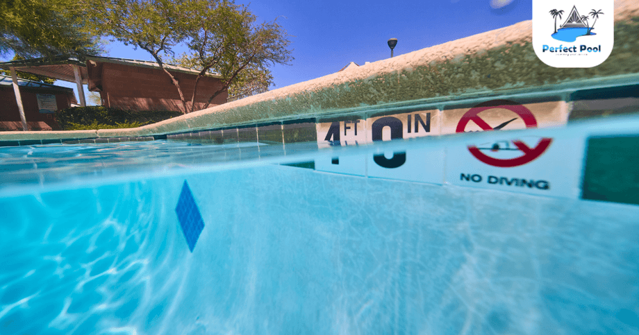 ดูแลสระว่ายน้ำ