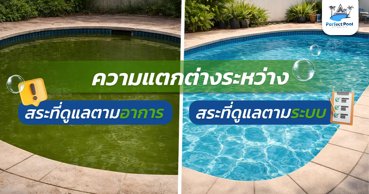 ดูแลสระว่ายน้ำเชียงใหม่ แบบดูแลตามอาการ vs ดูแลตามระบบ ต่างกันอย่างไร | Perfect Pool