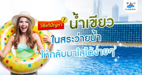 วิธีแก้ปัญหาน้ำเขียวในสระว่ายน้ำ ให้กลับมาใสได้ง่ายๆ