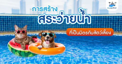 การสร้างสระว่ายน้ำที่เป็นมิตรกับสัตว์เลี้ยง