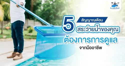 5 สัญญาณเตือน สระว่ายน้ำของคุณต้องการการดูแลจากมืออาชีพ