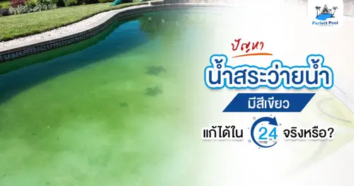 ปัญหาน้ำสระว่ายน้ำมีสีเขียว แก้ได้ใน 24 ชั่วโมงจริงหรือ?