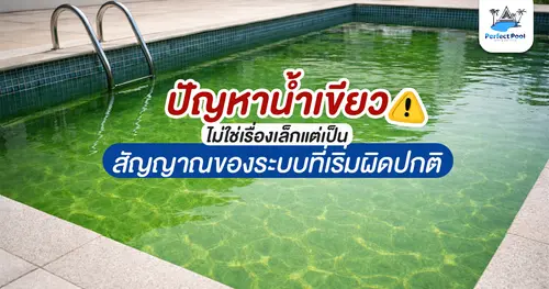 ปัญหาน้ำเขียวสระว่ายน้ำ สัญญาณเตือนระบบผิดปกติ | ดูแลสระว่ายน้ำเชียงใหม่