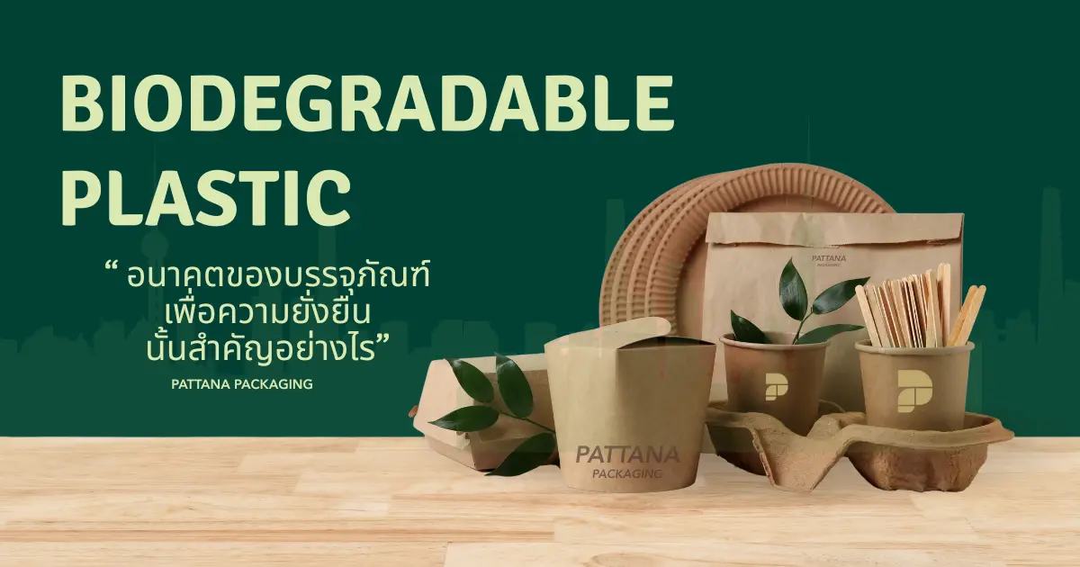 ออกเเบบบรรจุภัณฑ์ยังไงให้ธุรกิจยั่งยืนในปี 2025