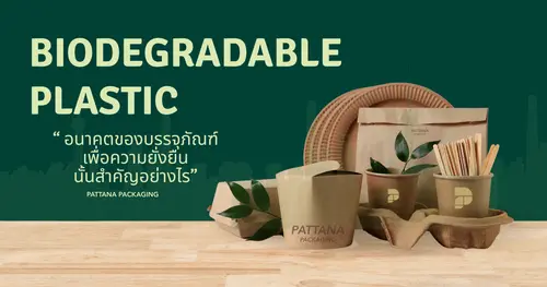 ออกเเบบบรรจุภัณฑ์ยังไงให้ธุรกิจยั่งยืนในปี 2025
