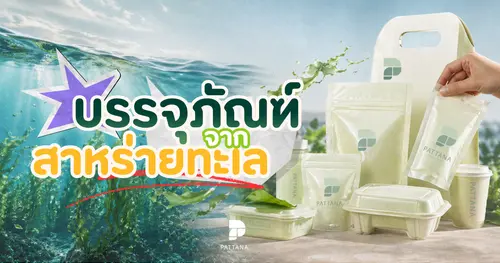 จากทะเลสู่บรรจุภัณฑ์ พลาสติกจากสาหร่ายที่โลกกำลังจับตา 