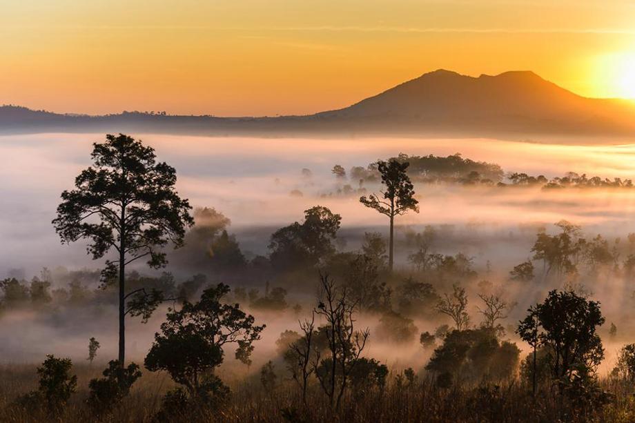 สถานที่ท่องเที่ยวเขาค้อ